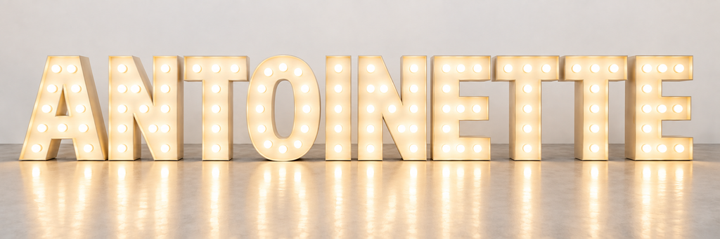Light Up Marquee Letters/Numbers